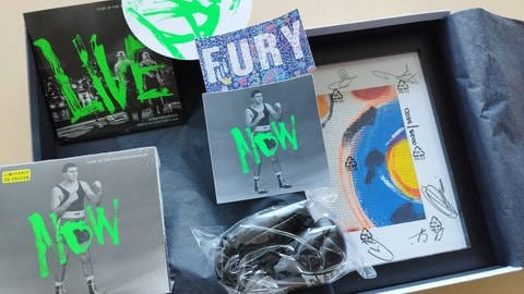 Fury in the Slaughterhouse Deluxe Fanbox